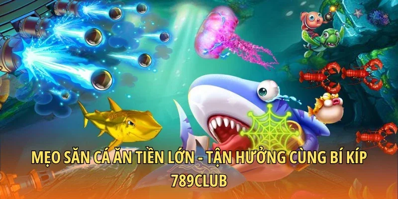 Mẹo săn cá ăn tiền